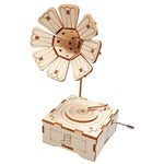 Educational DIY Model Kit